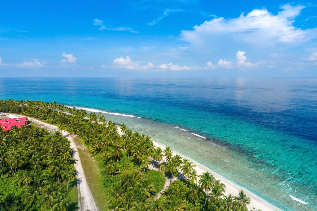 Oceanfront eco rentals