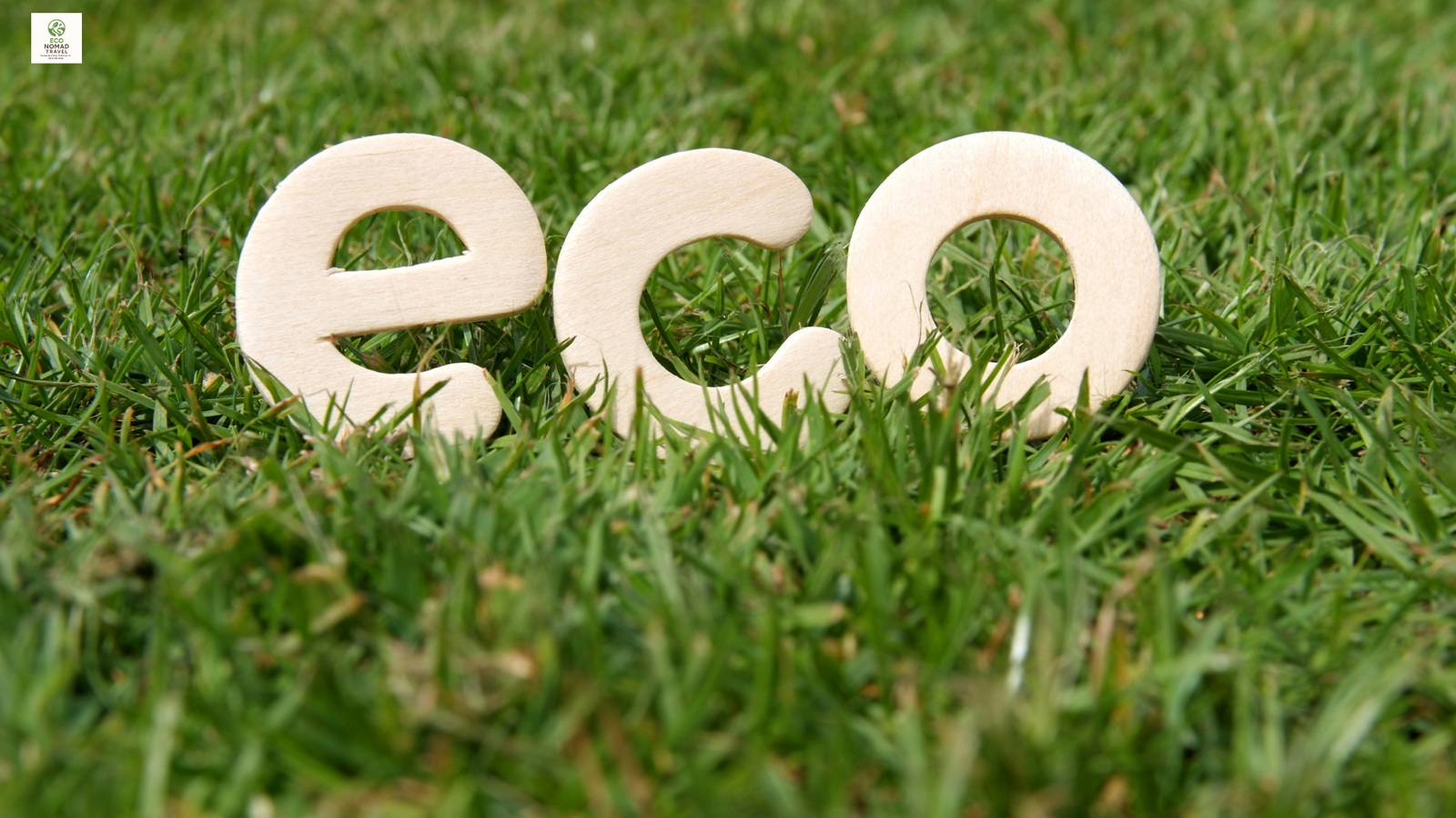 Sustainable Travel: 15 Smart and Simple Ways to Make a Positive Impact in 2025