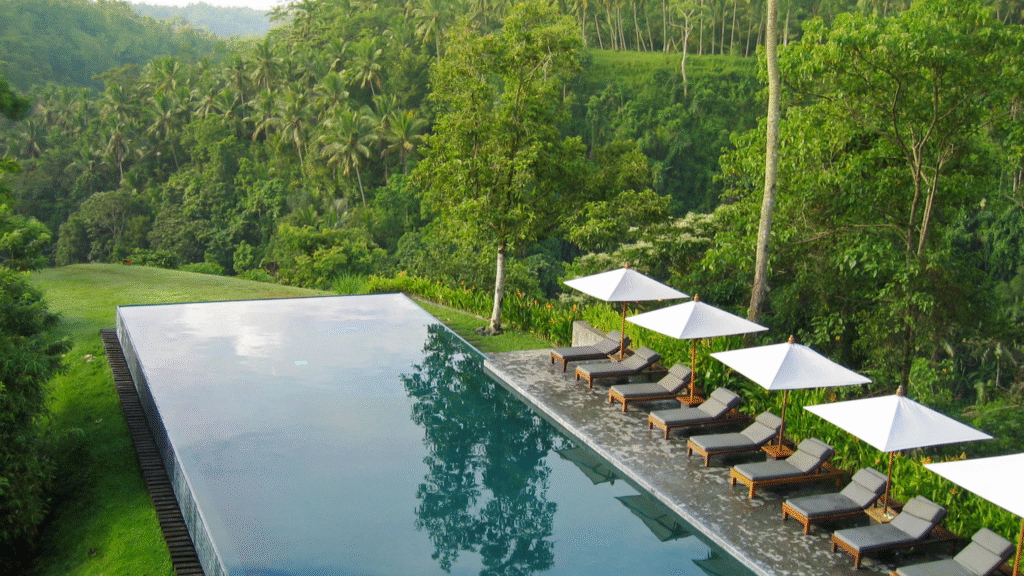 Eco Nomad Travel  Eco-Friendly Travel Tips for 2025: How to Explore the World Without Costing the Earth  