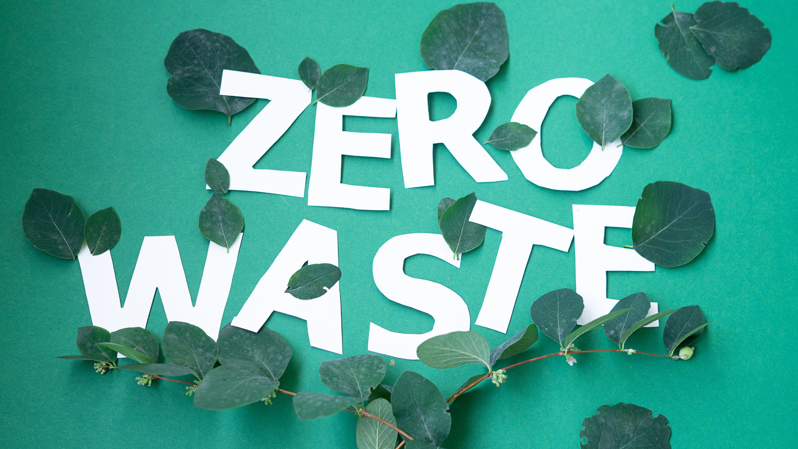 Zero-Waste Packing for Digital Nomads: How to Travel Light and Leave No Trace