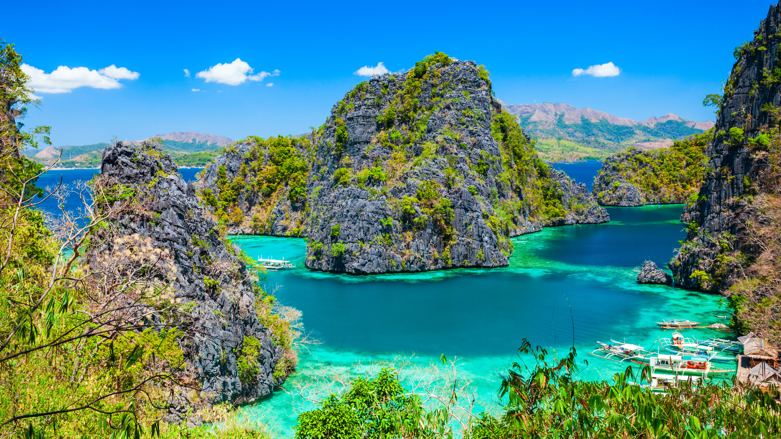 Blue Lagoon Coron Island Palawan — coral restoration and regenerative island tourism 2025