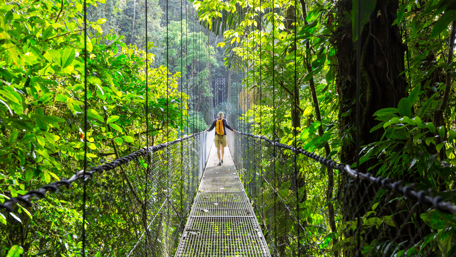 Tourist crossing rope bridge in Costa Rica rainforest — eco friendly tours 2025