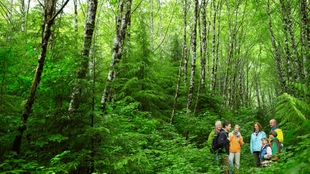 Eco Nomad Travel  How to Choose Eco-Friendly Tour Operators in 2025: Travel With Purpose  