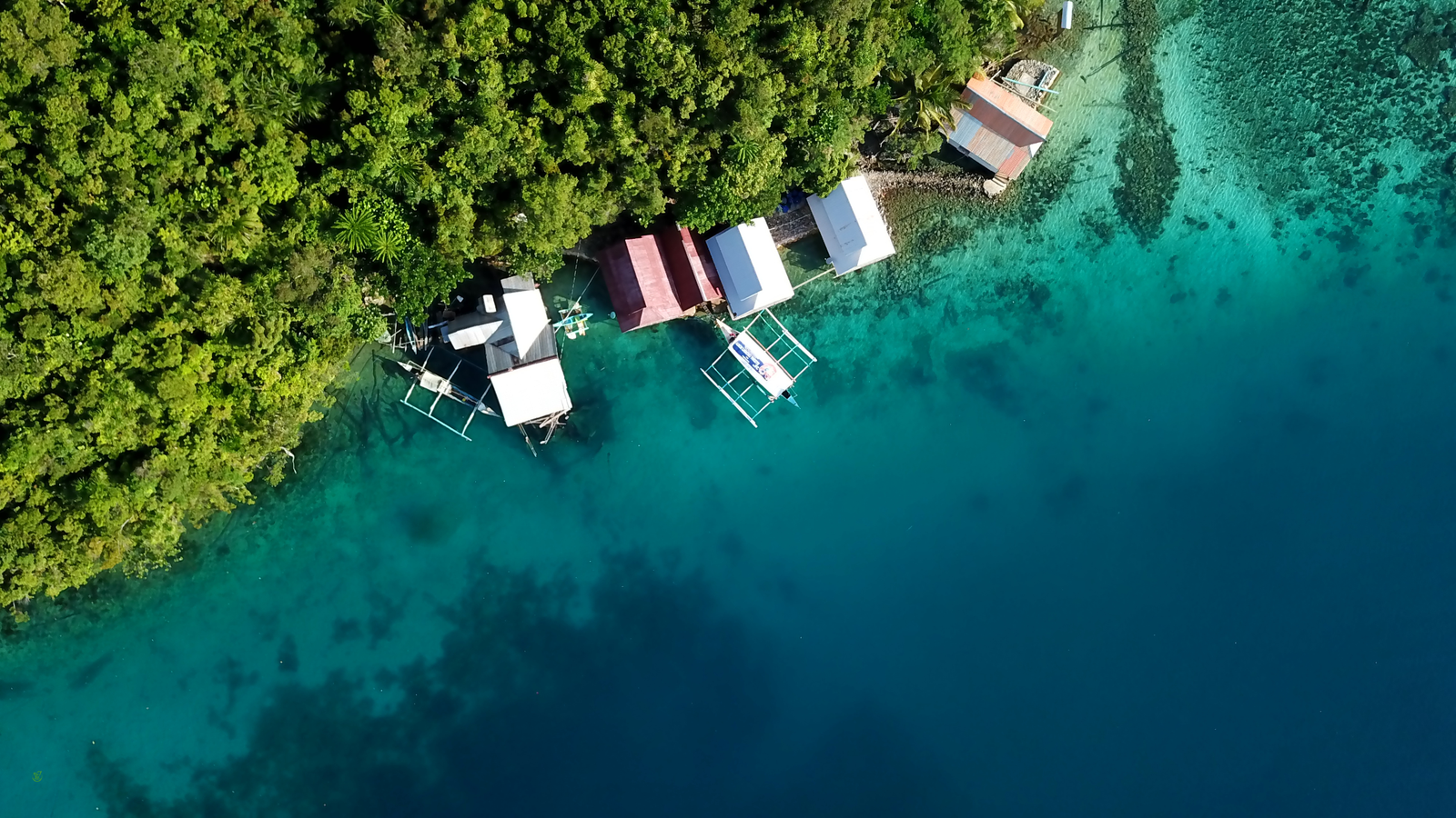 Eco-resort overwater bungalows with solar roofs, mangrove buffers, and boardwalks designed to protect seagrass meadows.