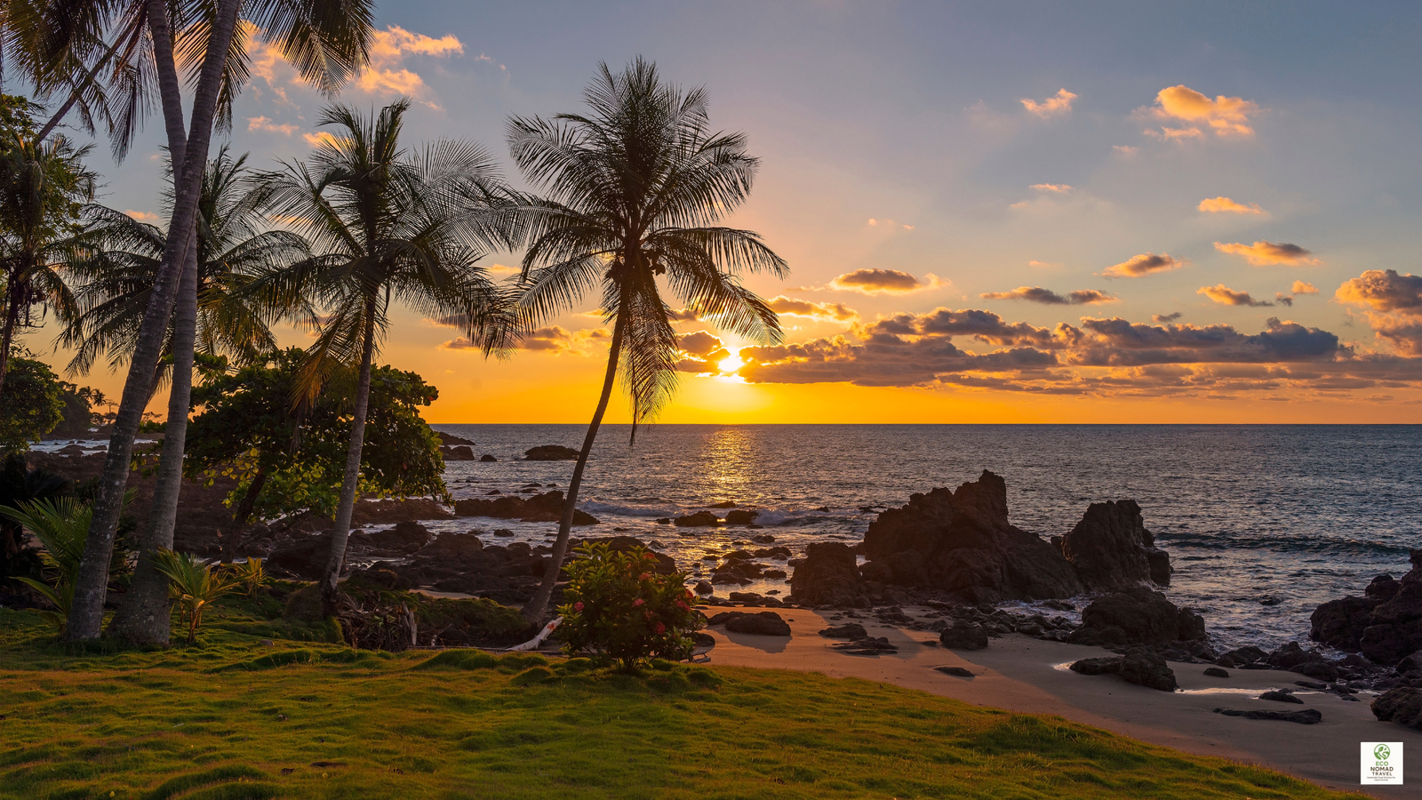 Golden sunset over a quiet Costa Rica beach with palm trees, evoking coastal eco lodges and retreats.