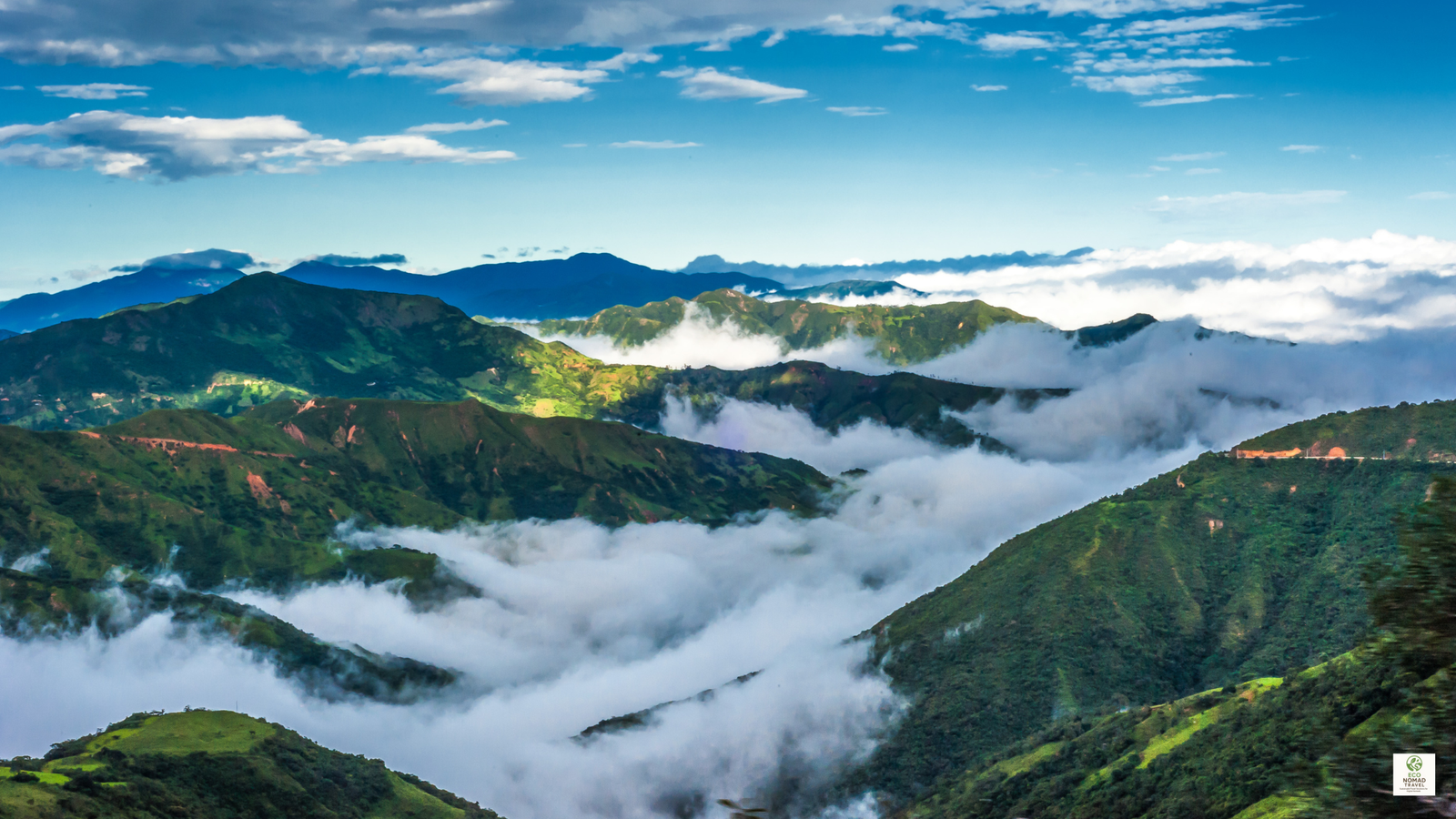 Misty Ecuadorian cloud forest with dense green canopy and drifting fog, representing eco lodges and off-grid retreats for eco nomads in 2025.