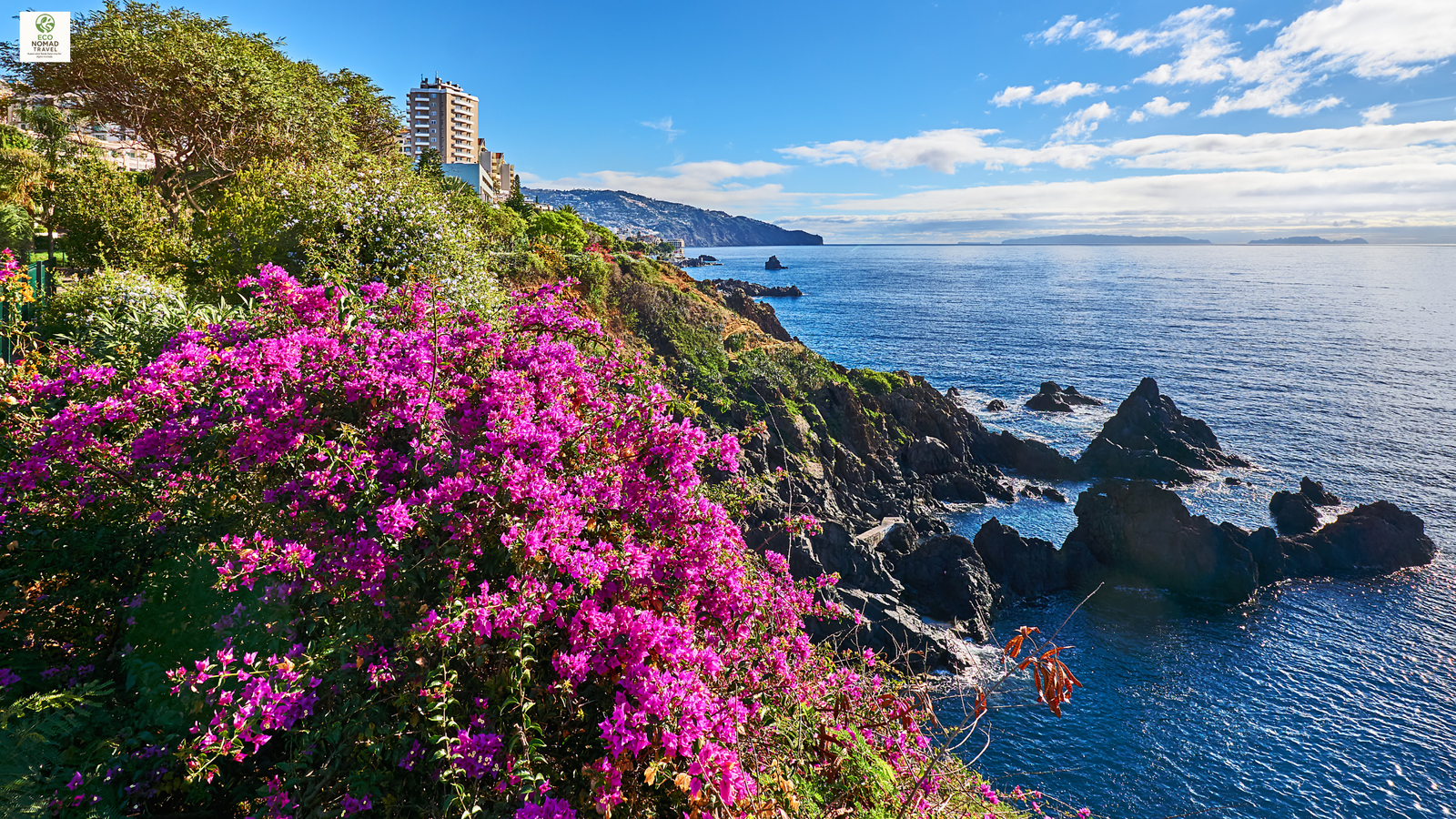 Madeira Portugal ocean terrace — remote work and sustainable living 2025
