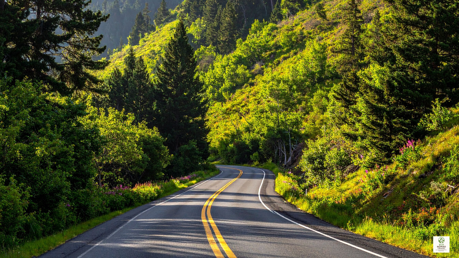 Two-lane highway winding through dense Pacific Northwest forest, illustrating a scenic section of a low-flight national park road trip itinerary from Seattle in 2025