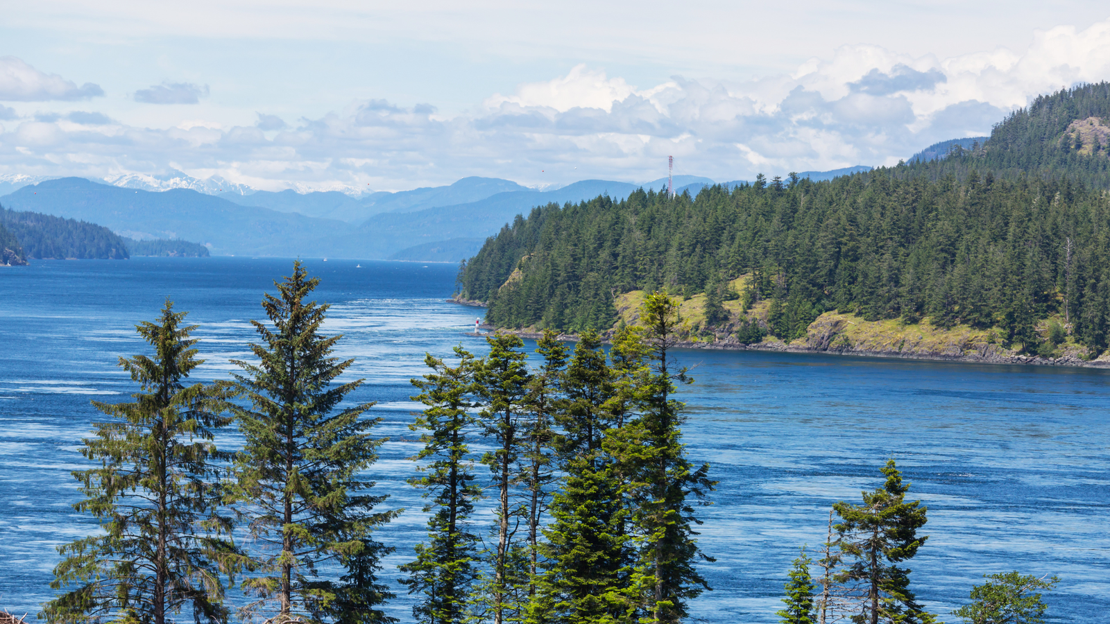 Vancouver Island British Columbia Canada with trees and ocean – low-impact nature day