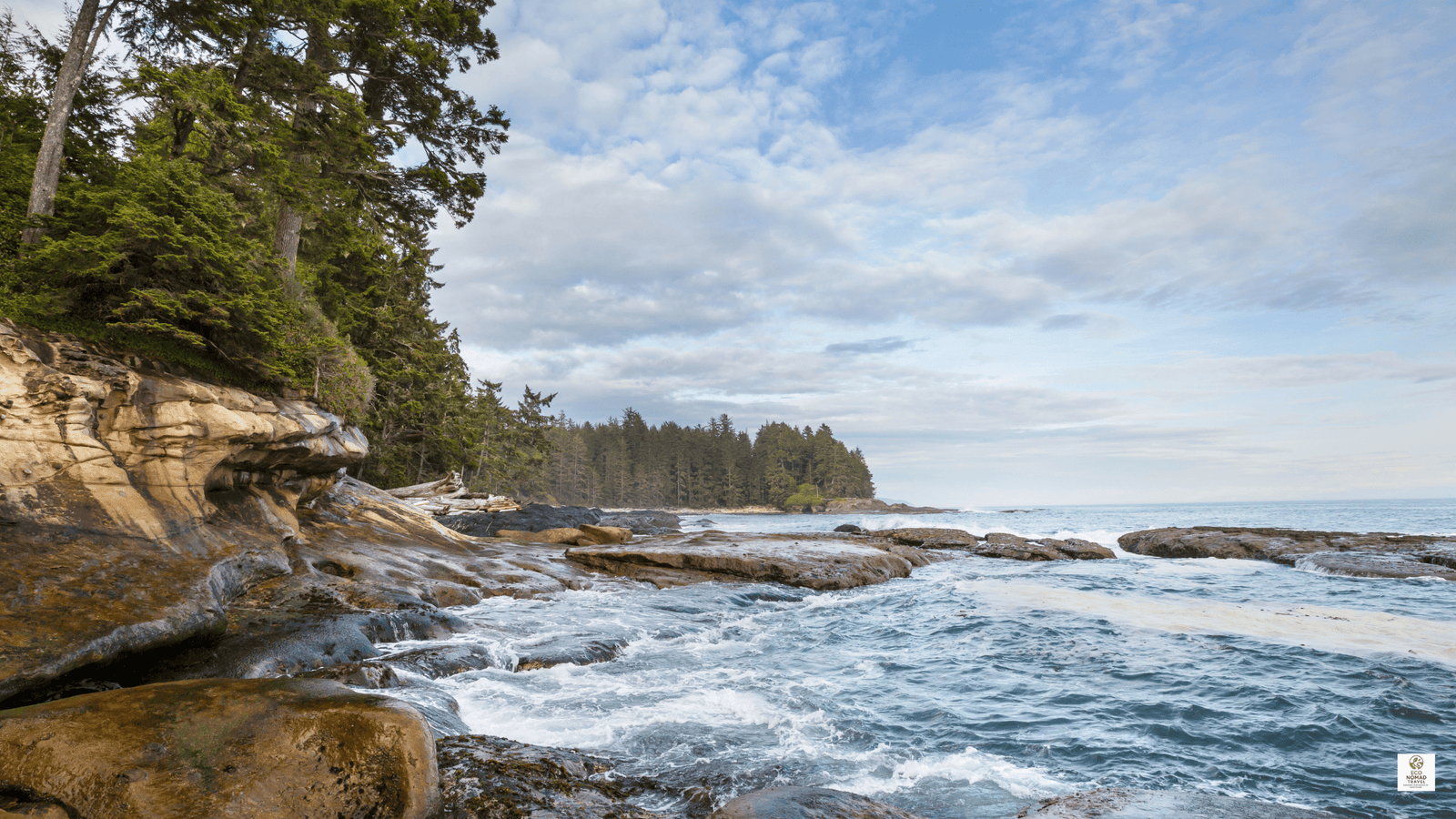 Vancouver Island British Columbia Canada coastal landscape – forests and ocean views